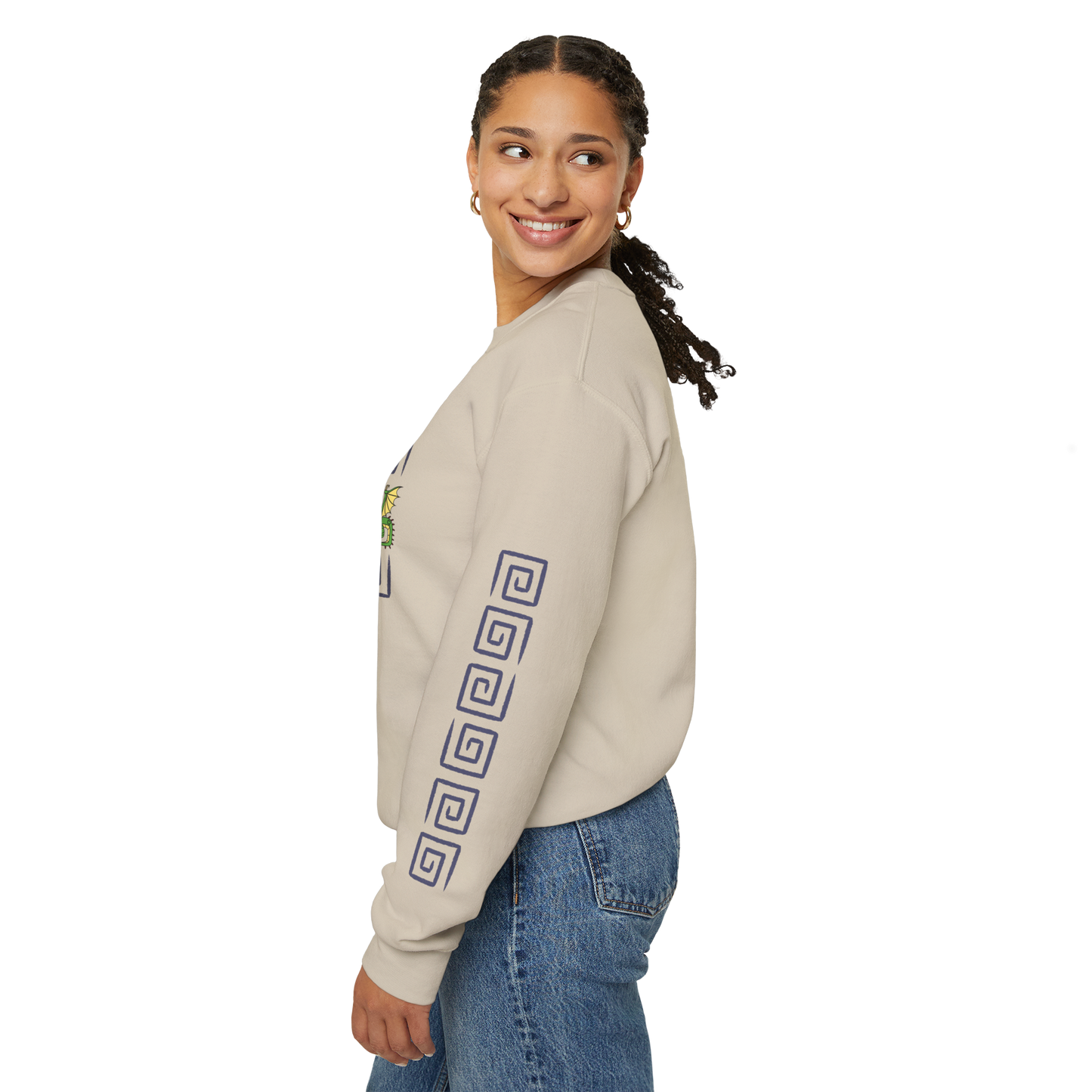 Spiral Black Dragon Hookfang, Stormfly, Meatlug, Barf and Belch Toothless HTTYD Inspired Crewneck Sweatshirt