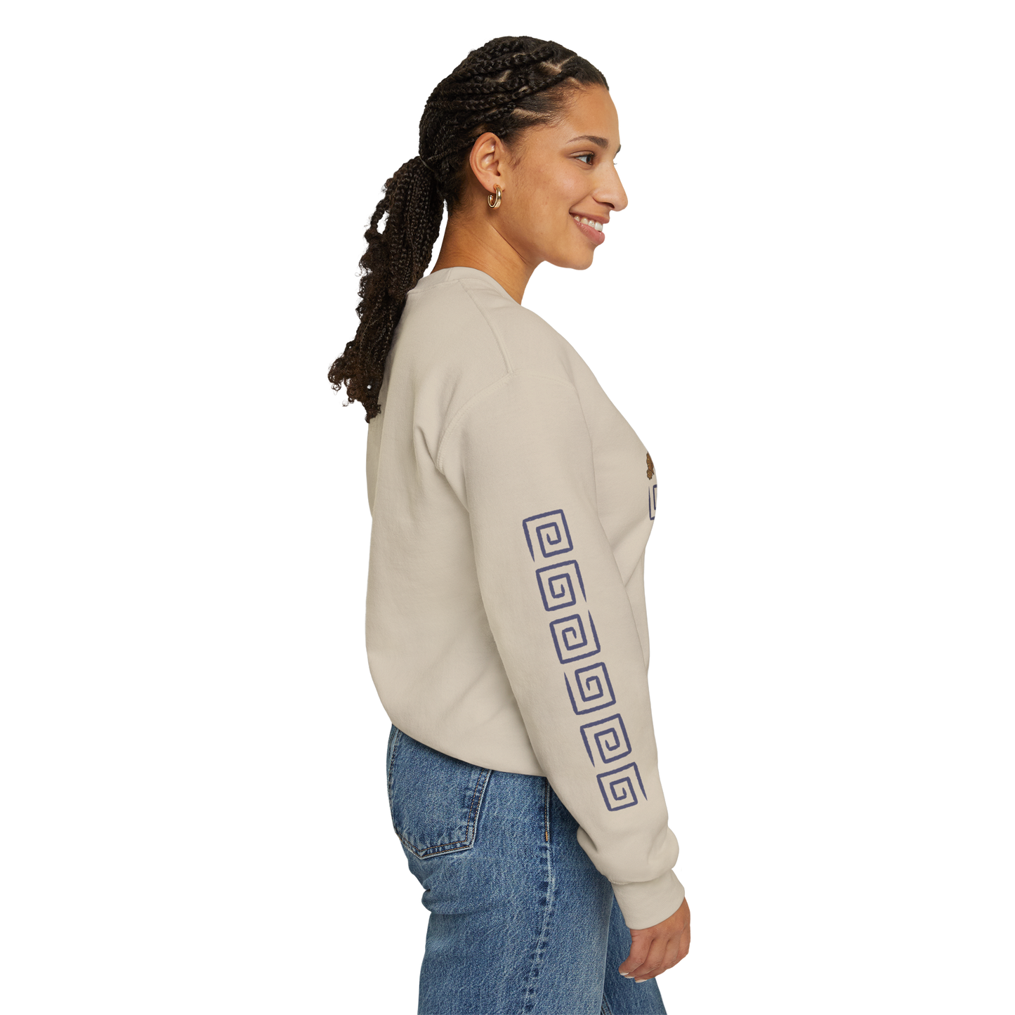 Spiral Black Dragon Hookfang, Stormfly, Meatlug, Barf and Belch Toothless HTTYD Inspired Crewneck Sweatshirt